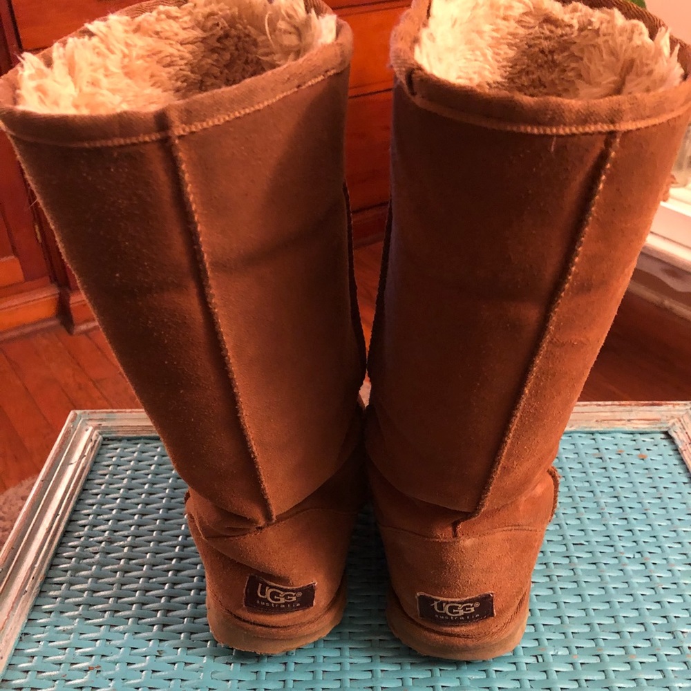 Tall Chestnut Uggs